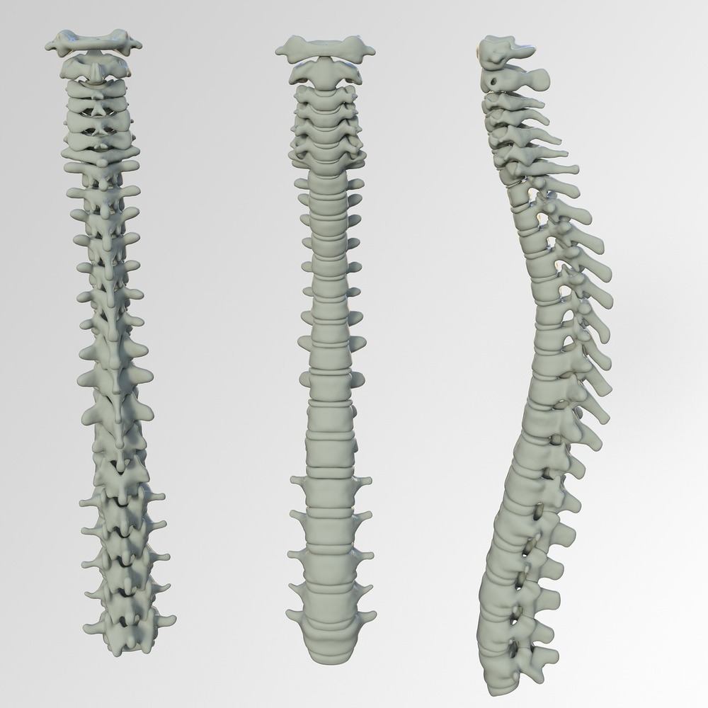 Få hjælp til udbedring af rygskader hos en kiropraktor
